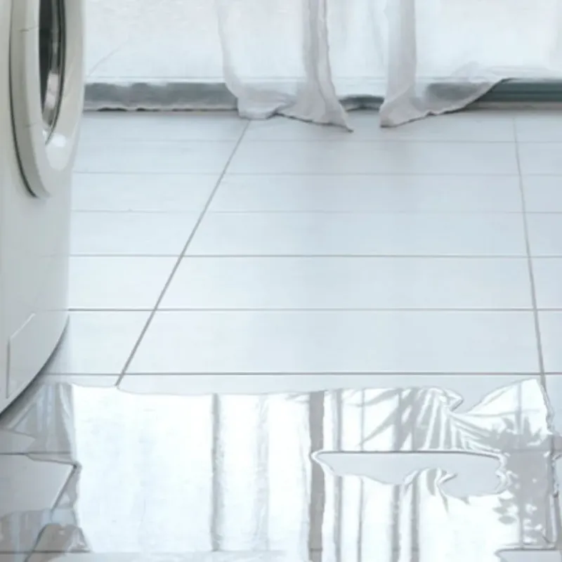 Appliance Leak Cleanup in Bradenton Beach, FL